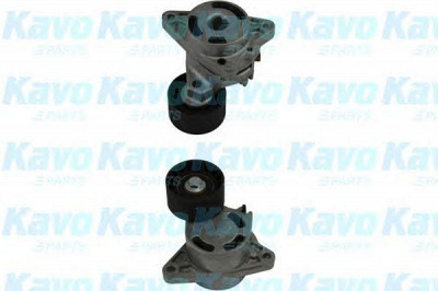 KAVO PARTS dtp6511 -  Натяжной ролик, поликлиновой  ремень